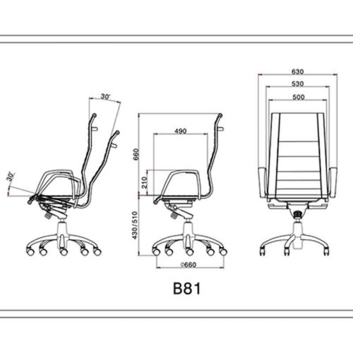 B81 صندلی مدیریتی, صندلی مدیریتی, صندلی اداری,صندلی ارگونومیک